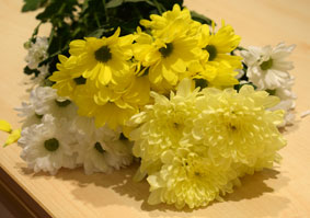 DSC_0058-цветы.jpg